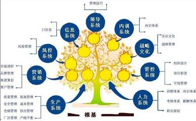 企業(yè)管理咨詢 賦能企業(yè)增長的專業(yè)服務(wù)產(chǎn)品